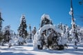 Private snowmobile safari 2,5 h