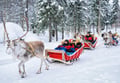 REINDEER SAFARI : The Long sled ride