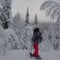 Snowshoe Rental in Levi