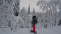 Snowshoe Rental in Levi