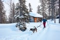 2026 The Return of the Sun — Arctic Wilderness Week in Lapland with Huskies