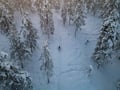 2026 The Return of the Sun — Arctic Wilderness Week in Lapland with Huskies