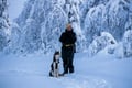 2026 The Return of the Sun — Arctic Wilderness Week in Lapland with Huskies