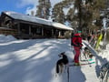 2026 The Return of the Sun — Arctic Wilderness Week in Lapland with Huskies