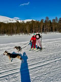 2026 The Return of the Sun — Arctic Wilderness Week in Lapland with Huskies