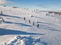 2026 The Return of the Sun — Arctic Wilderness Week in Lapland with Huskies