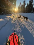 2026 The Return of the Sun — Arctic Wilderness Week in Lapland with Huskies