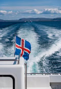 Best Value Whale Watching tour from Reykjavik