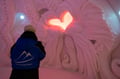 Guided Visit of SnowHotel