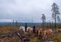 Horse riding over the hills 4 hour (ADVANCED ONLY)