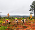 Horse riding over the hills 4 hour (ADVANCED ONLY)