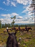 Horse riding over the hills 4 hour (ADVANCED ONLY)