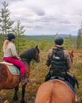 Horse riding over the hills 4 hour (ADVANCED ONLY)