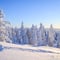 Wilderness Survival Tour - Winter
