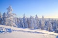 Beautiful frozen Taiga forest in Rovaniemi