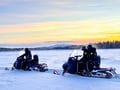Small Group: Snowmobile Safari from Riverside Lodge 3h