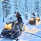 Private: Snowmobile Safari from Riverside Lodge - 3h
