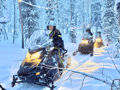 Small Group: Snowmobile Safari from Riverside Lodge 3h