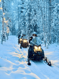 Small Group: Snowmobile Safari from Riverside Lodge 3h