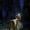 Evening safari in the world of reindeer