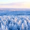 Wilderness Survival Tour - Winter