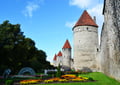 Tallinn Shore Excursion - Tallinn Old Town Walking Tour and Own Free Time (WITH Harbour Transfer)