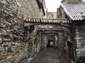 Tallinn Day Tour from Helsinki (WITHOUT hotel pick-up and drop-off)