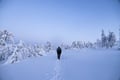 Lapland Wilderness Adventure – Explore Wild Arctic Trails