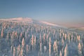 Lapland Wilderness Adventure – Explore Wild Arctic Trails