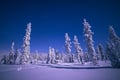 Lapland Wilderness Adventure – Explore Wild Arctic Trails