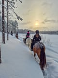 Horse trail riding to the snowy hill
