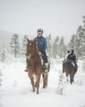 Horse trail riding to the snowy hill