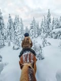 Horse trail riding to the snowy hill