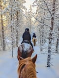 Horse trail riding to the snowy hill