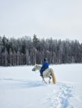 Horse trail riding to the snowy hill