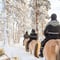 Horse trail riding to the snowy hill