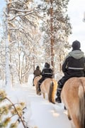 Horse trail riding to the snowy hill