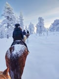 Horse trail riding to the snowy hill