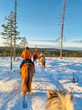 Horse trail riding to the snowy hill