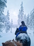 Horse trail riding to the snowy hill