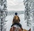 Horse trail riding to the snowy hill