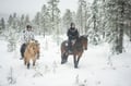 Horse trail riding to the snowy hill