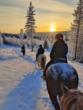 Horse trail riding to the snowy hill
