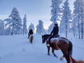 Horse trail riding to the snowy hill