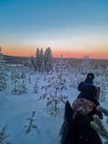 Horse trail riding to the snowy hill