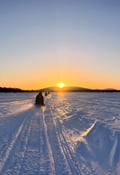 Snowmobile tour: Full Day Safari from Levi to the Idyllic Raattama Village, 8 Hours