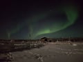 Northern lights horse sleigh ride