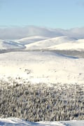 Snowshoe Explorer: Short Journey in Levi