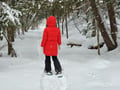 Snowshoe Explorer: Short Journey in Levi