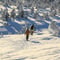 Snowshoe Explorer: Short Journey in Levi